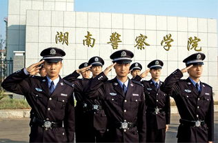 湖南警察学院是几本,请问湖南警察是哪一年升二本的?
