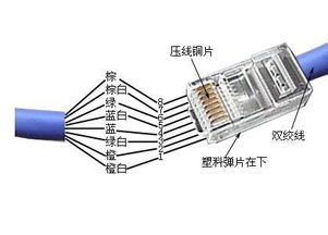 接网线的问题 水晶头 驳线钳 使用方法 