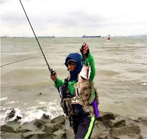 长江水生生物保护意见来了,违规垂钓最高罚1000 钓鱼人要注意什么