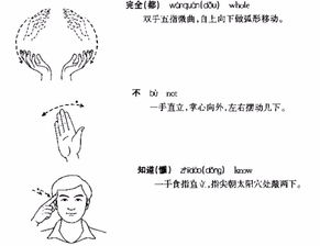 学手语有前途吗