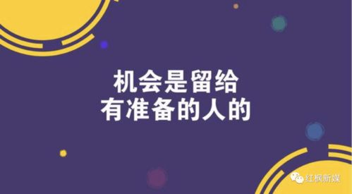 切身体会,自媒体之路的10个真相