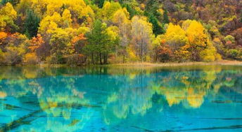 中国最美的秋天在这里 中国国家地理 评选出10大最美秋色,你去过几个 