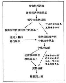 植物与环境教学反思