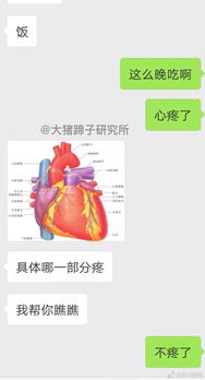 我那个学医的男朋友,实在是太下流了...