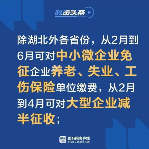 怎么查看一个公司的股份分配情况