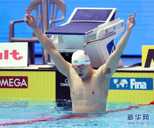 男子自由泳***是谁中国游泳五大男神