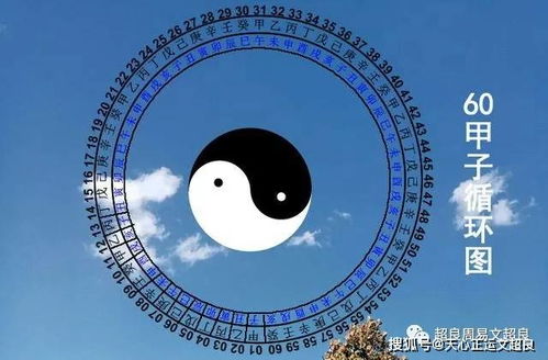 如何解读辛丑 壬寅年天干地支的易象