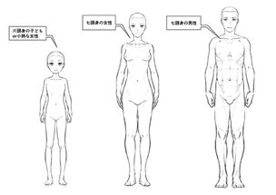 了解男女体型的差异才能更好的画人体