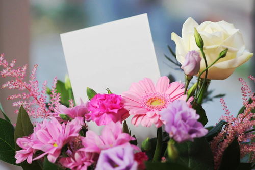 花际里共享鲜花机为鲜花行业提供范本