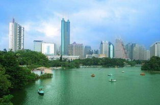 深圳哪里好玩 八处好玩又免费的景点值得一去 5