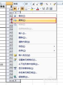 复制金额粘贴后乱码如何解决