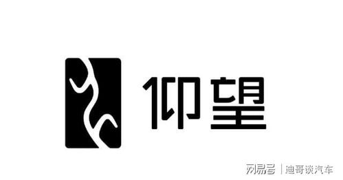 展现中国元素,比亚迪 仰望 Logo发布