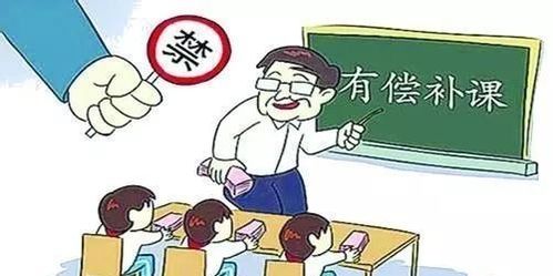 学校教师补课与社会的辅导班补课,谁的质量更高