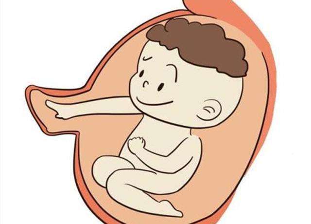 原创男孩和女孩在孕期的“胎动”有区别吗？孕妈不妨了解一下