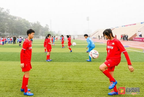 宋凯将到场观赛女足与朝鲜，然后参加亚足联活动