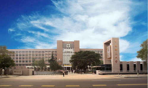 山东临沂大学(山东临沂有哪些大学) 