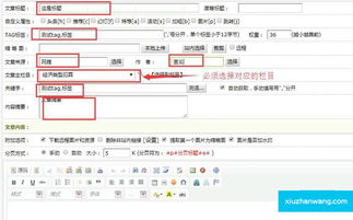 优惠券cms程序自动采集文章系统