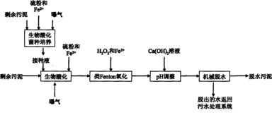 类Fenton氧化联用改善剩余污泥脱水性能的方法 