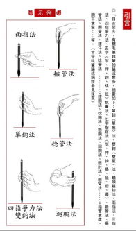 最最最最正确的拿毛笔的手势是 