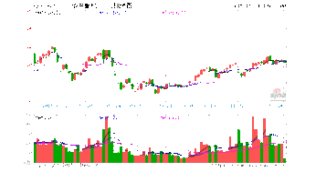 上海康强股份是什么公司？