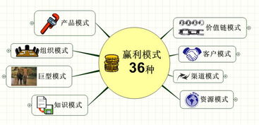 36大赢利模式 下