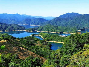 佛山千岛湖旅遊攻略路線圖