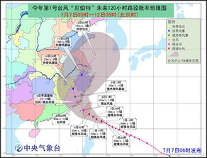 防台风门窗加固装置