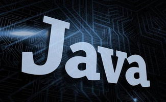 python和java哪个好就业,Pyho和Java，哪个更适合你的就业前景？