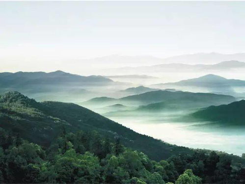 旅游 周末约起,半城山色半城湖,美丽惠州等你来约