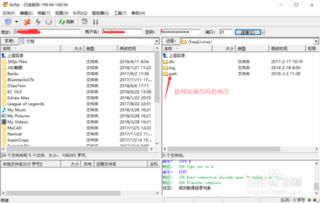 五指cms网站文章更新站群工具