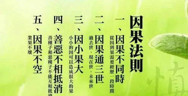 谁也躲不过因果 央视首次正面承认因果的存在 一定要认真看看