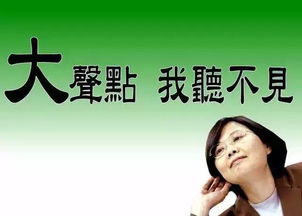 林奕辰 民进党惨败谁来背锅