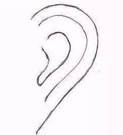 面相 耳大有福 10种耳朵类型看懂你的福气和爱情