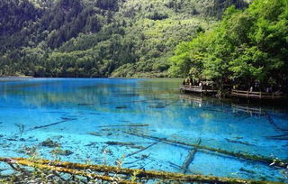 适合8 9月份旅游的地方