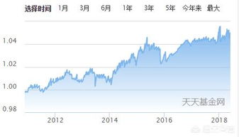 选择哪个基金好货币基金和股票基金