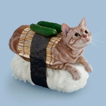 超创意 不能吃的寿司猫 