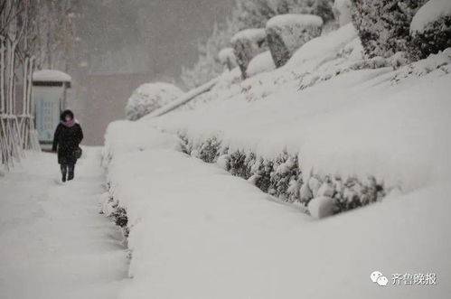 北极圈划到烟台了 雪窝子 暴雪,积雪最深30厘米,出趟门比取经还难