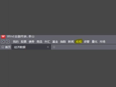 wind数据怎么查？