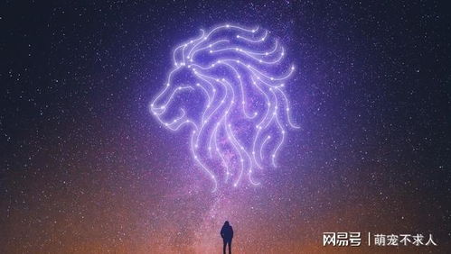 能力越强,越会低调的星座,你以为他们很软弱,实则是狠角色