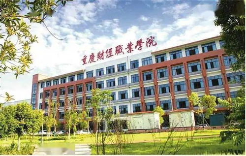 重庆职业学校排名(重庆财政学校是公办还是民办)