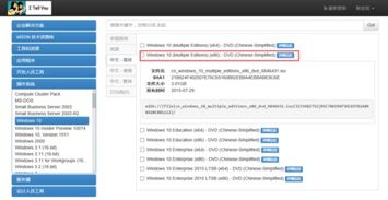 苹果电脑msdnwin10需要解压