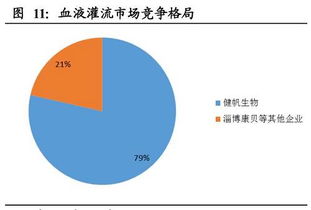 公司SAP产品在国内的主要竞争对手有哪些