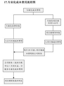 公司股东有纠纷，账务混乱，该咋么办。