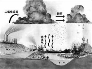 酸雨的形成 图片信息欣赏 图客 Tukexw Com
