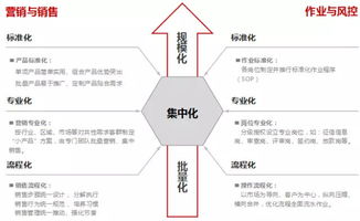 小贷运营管理模式与风险控制 干货