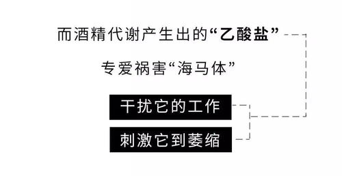 喝酒的100个好处