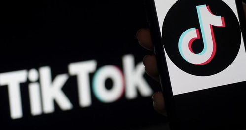 苹果国内下载tiktok_Tik Tok运营精细化思路