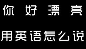 明天见用英语怎么说,每天一句英语台词记忆更深哦