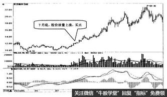 抗通胀股主要指哪些类型的股票？