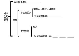 生物因素对生物的影响是什么意思